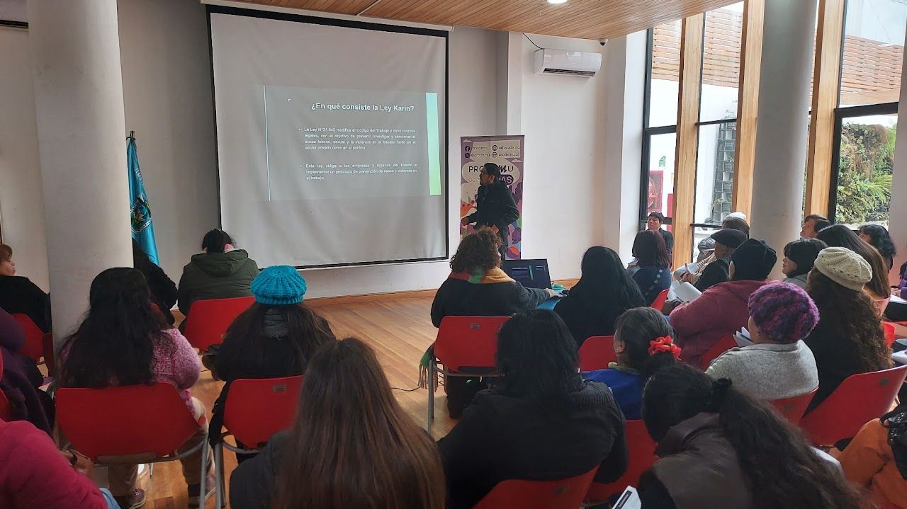 Charla Ley Karin en Cabildo
