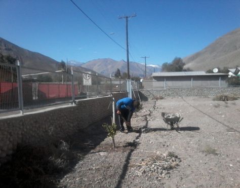 Emergencia Aluvión de Atacama (Alto del Carmen), foto 13