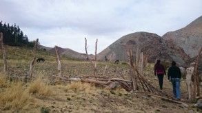 Emergencia Aluvión de Atacama (Alto del Carmen), foto 17